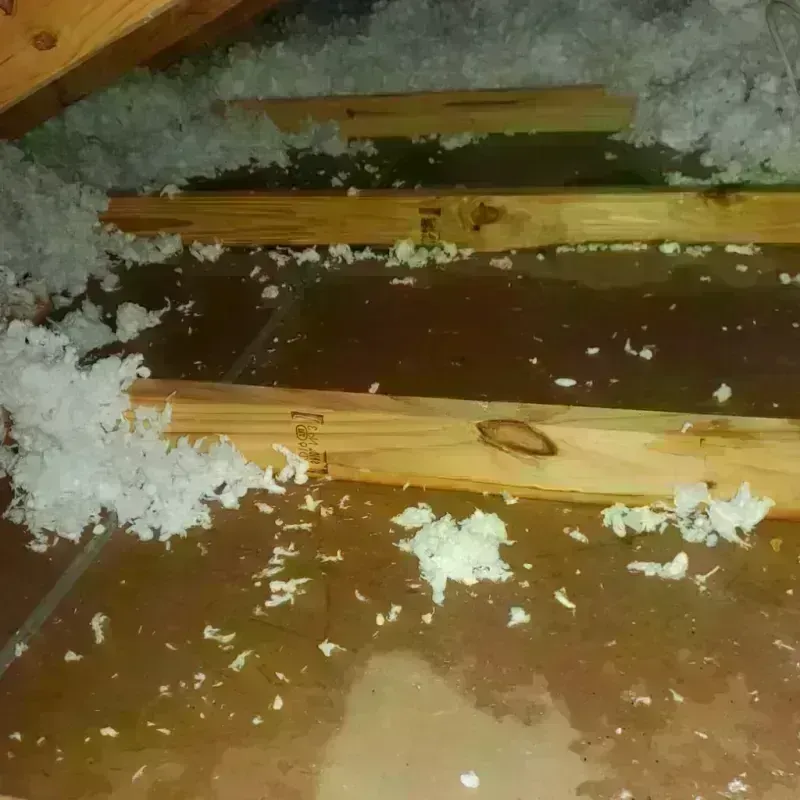 Attic Water Damage in Newport, ME