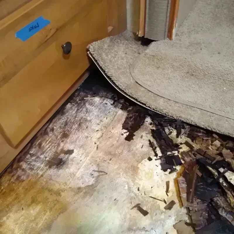 Best Wood Floor Water Damage Service in Newport, ME